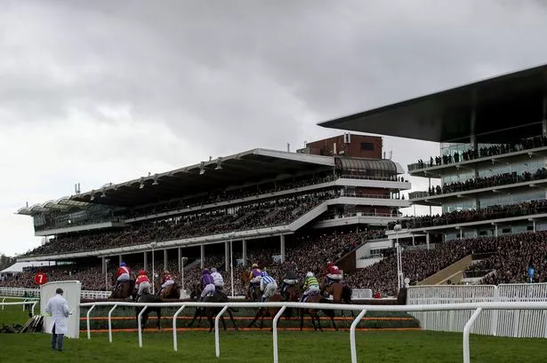 Cheltenham Festival – ‘war on wee’ announced ahead of racing spectacle